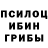 Галлюциногенные грибы Magic Shrooms gregluland