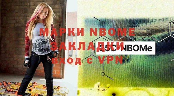 прущие грибы Инсар