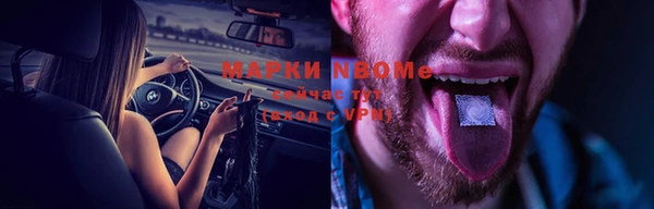 прущие грибы Инсар