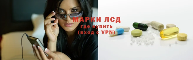 гидропоника Зеленодольск