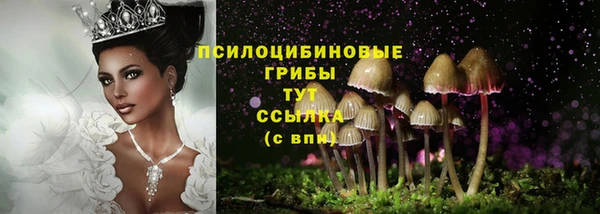 mdpv Зеленокумск